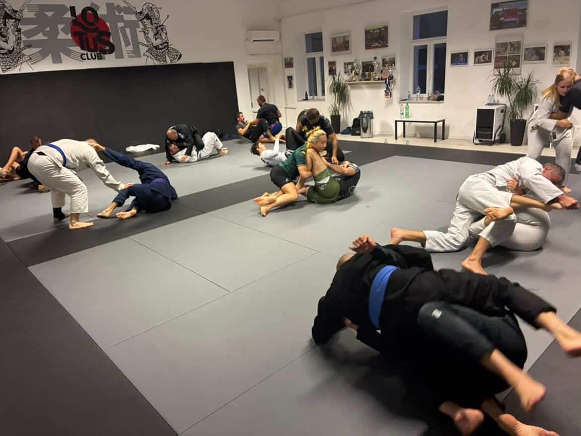 Open Mat / odrasli